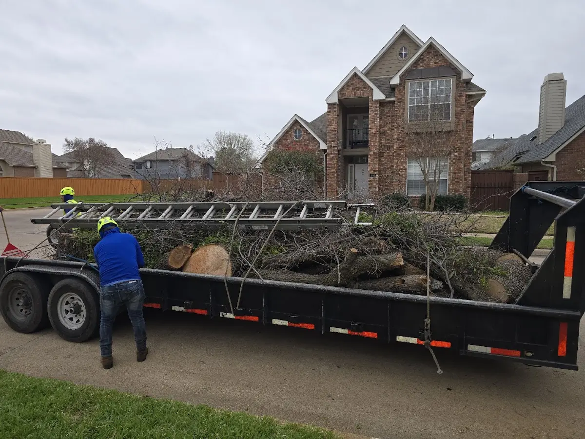 Expert Tree Pest Control with proper safety equipment in Delta Junction